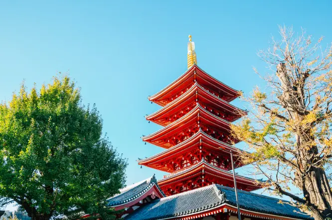 culture day japan