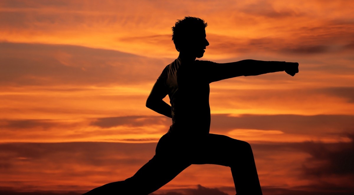 Chinese Martial Arts
