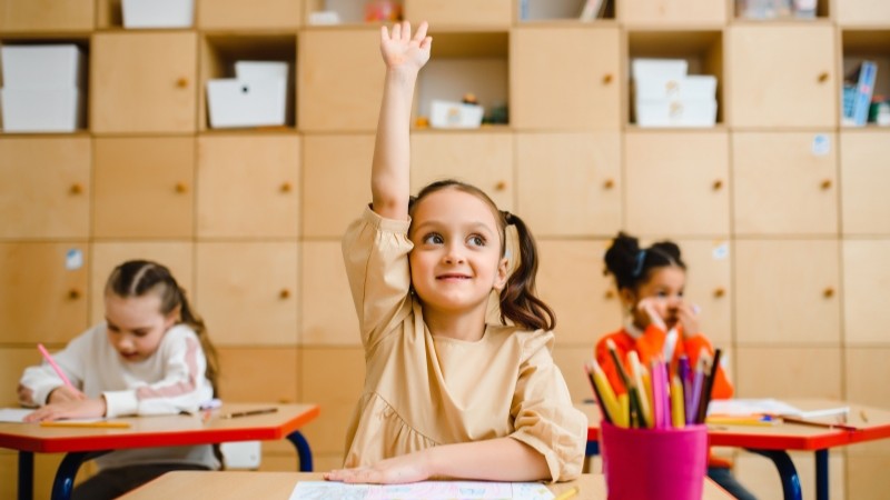 Curiosity is the first step to understand students' behaviour